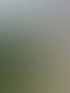 Hecke schneiden