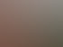 Braunes Ziegeldach eines Gebäudes mit einer hellbraunen Gaube aus Holz und Baugerüst mit grünem Netz.
