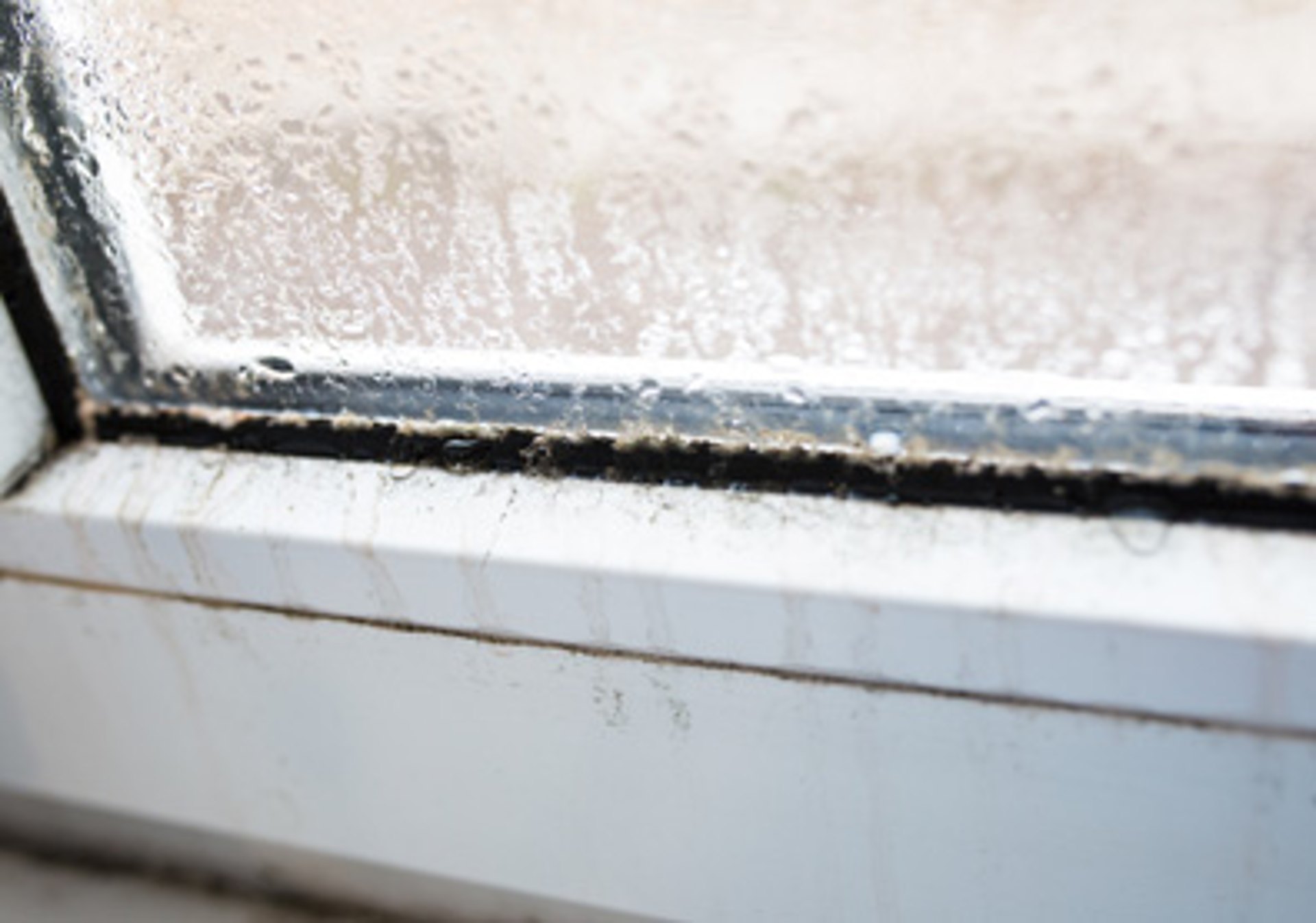 Ventura, CA Window Contractor