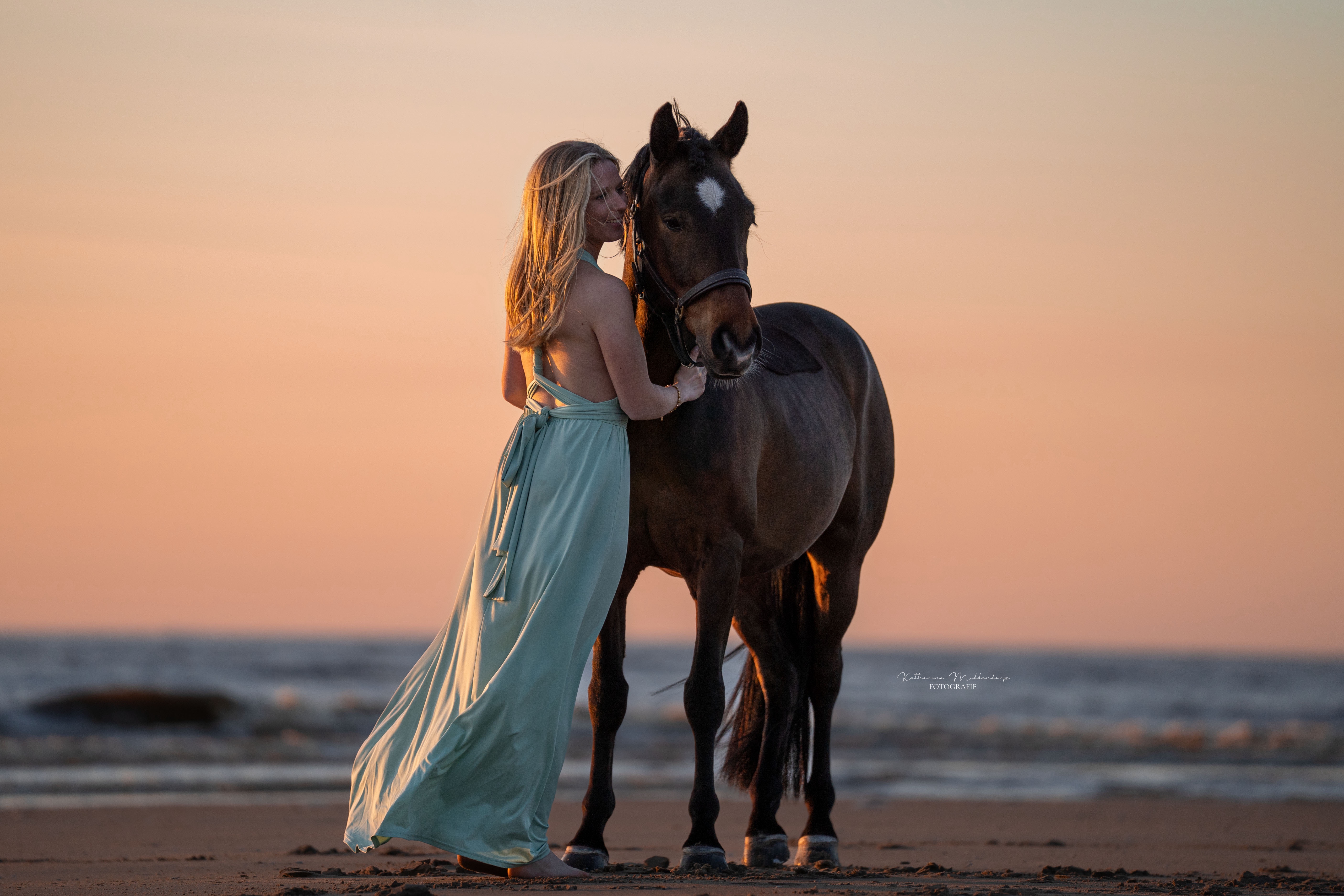 Pferdefotografie von Katharina Middendorp