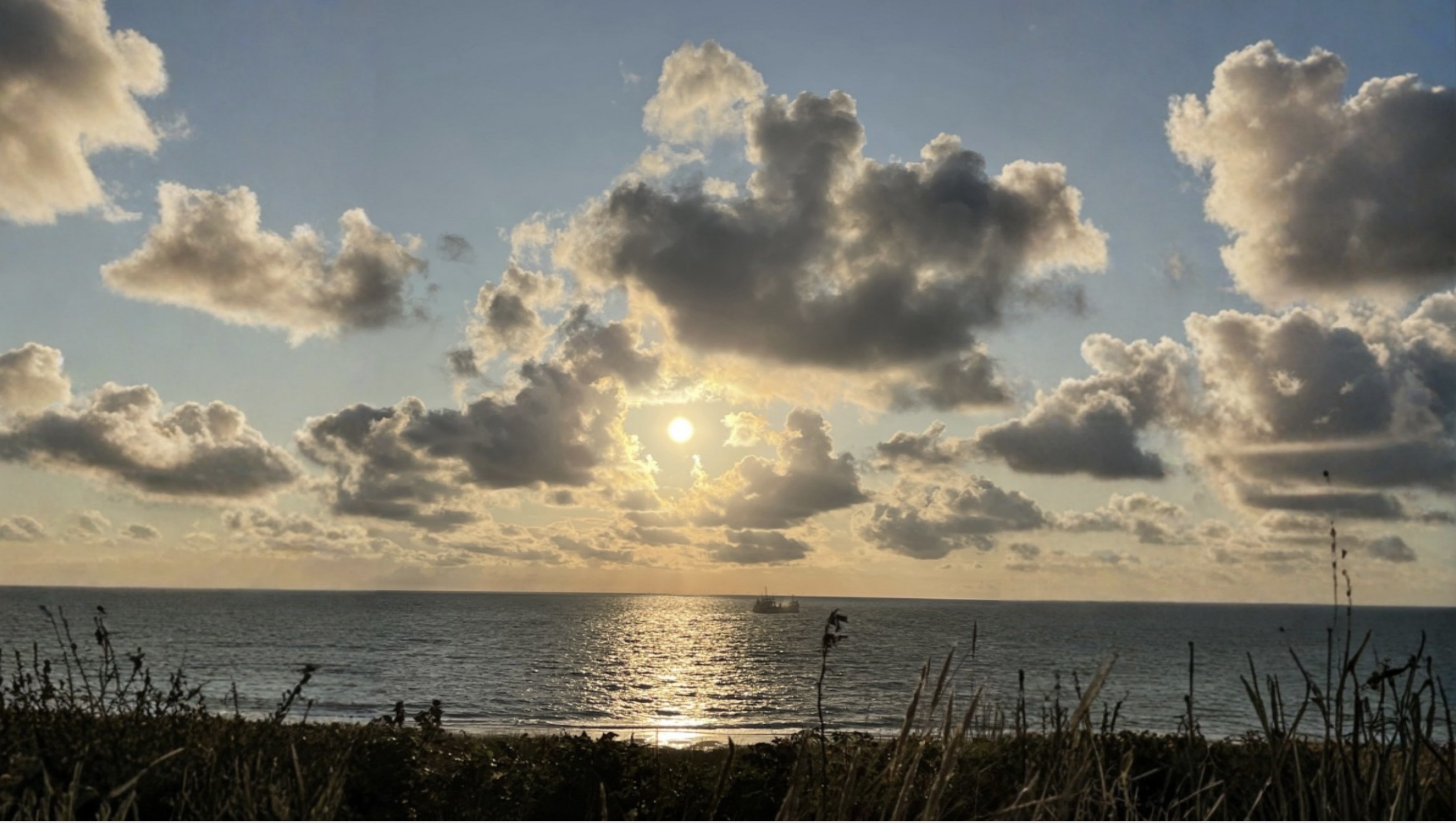 IMG_3271.jpeg