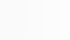 Kundenstimme über SPEEDSCALING