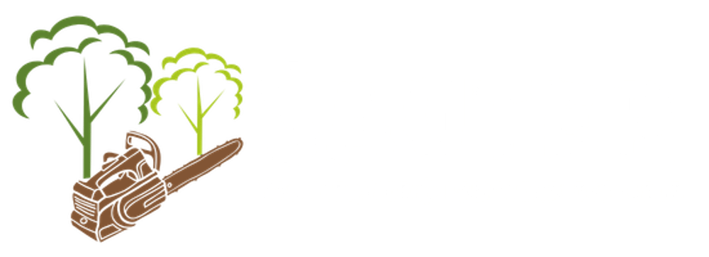 Logo mit Kettensäge, die auf zwei Bäume zeigt, daneben "SAUTER BAUMSERVICE & LANDSCHAFTSPFLEGE".