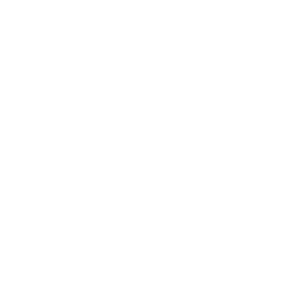 Weiße Unterschrift "J. Schapier" auf dunkelgrünem Hintergrund.