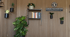 Holzlamellenwand mit Pflanzen, Bücherregal und dem Logo von Lukas Tschanter Finanzkonzepte.
