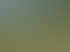 111.jpeg