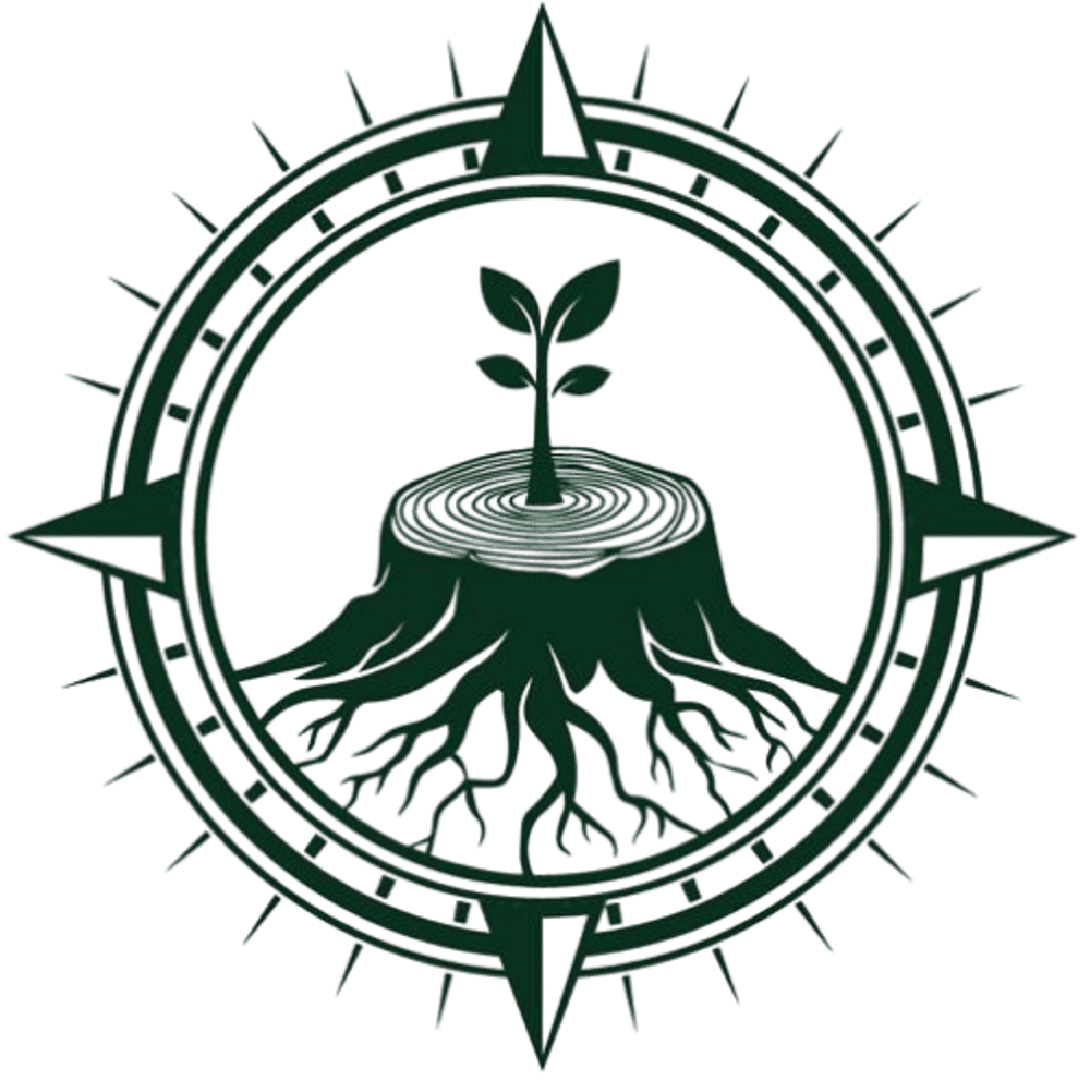 Junger Trieb wächst aus Baumstumpf mit Wurzeln, umgeben von Kompassrose.