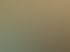 Helles Büro mit einem Schreibtisch, zwei Monitoren, einem Besprechungstisch, grünem Teppichboden und sonnigen Fenstern.