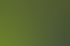 Menschen spielen Tauziehen auf einer grünen Wiese mit Bäumen im Hintergrund.