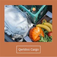 Kategorie-Kachel Qeridoo Cargo aus dem Brand Store