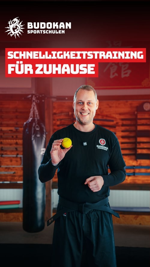 Story-Grafik für Budokan, gestaltet von KTN MEDIA