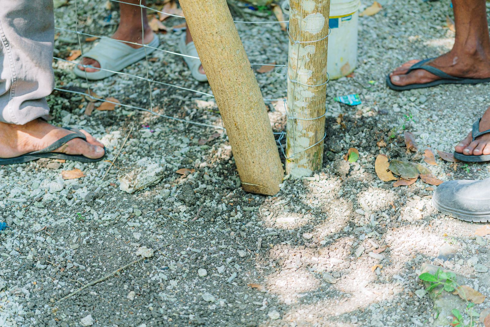 Installers setting a fence post in an augered hole