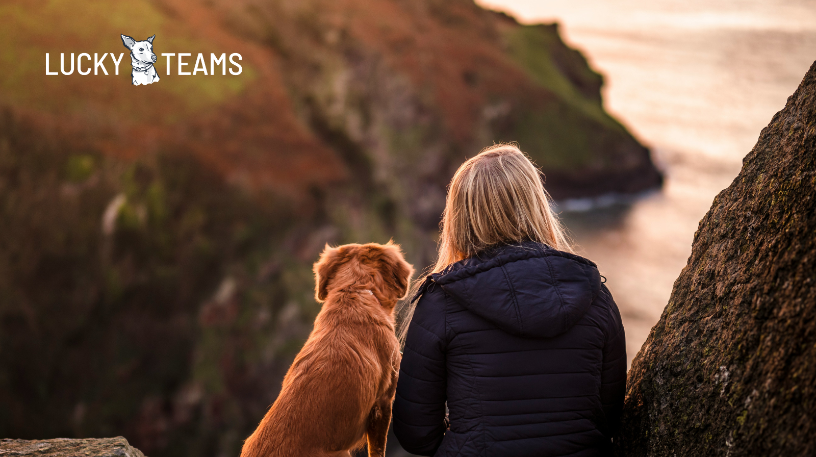 Lucky Teams Hundetraining