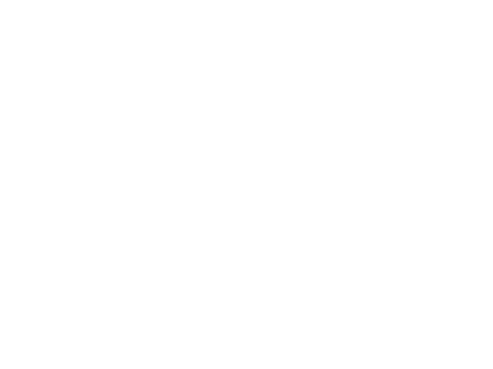 Lab4Paws