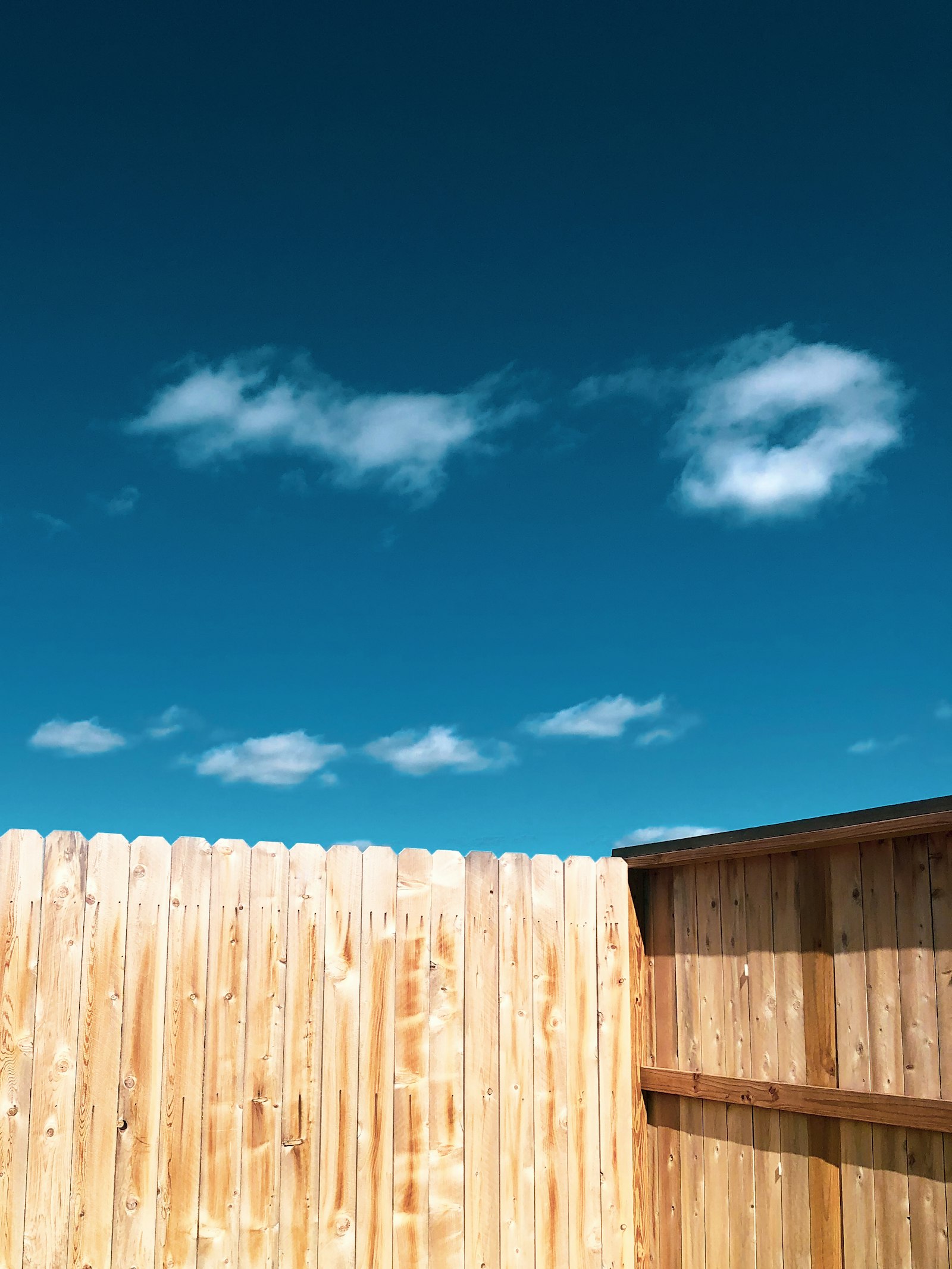 Newly installed cedar privacy fence along a backyard property line in Columbia, Maryland