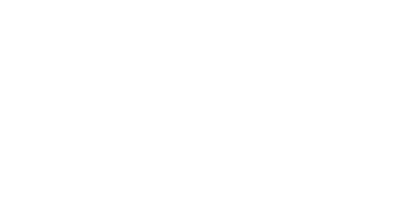 Das NETZ