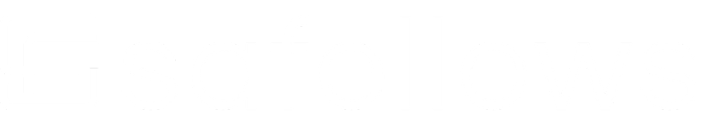 Logo mit dem Wort „safellows“ in Weiß und einem stilisierten „S“ davor auf grünem Hintergrund.