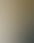 Das Bild zeigt eine Baustellen Szene in der eine Lehmbauplatte mittels einer Hebevorrichtung an die Decke gehoben wird. 