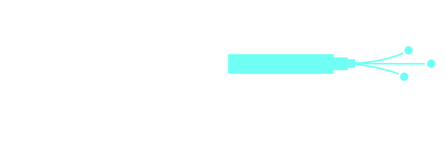 Logo-Fiber-02.png