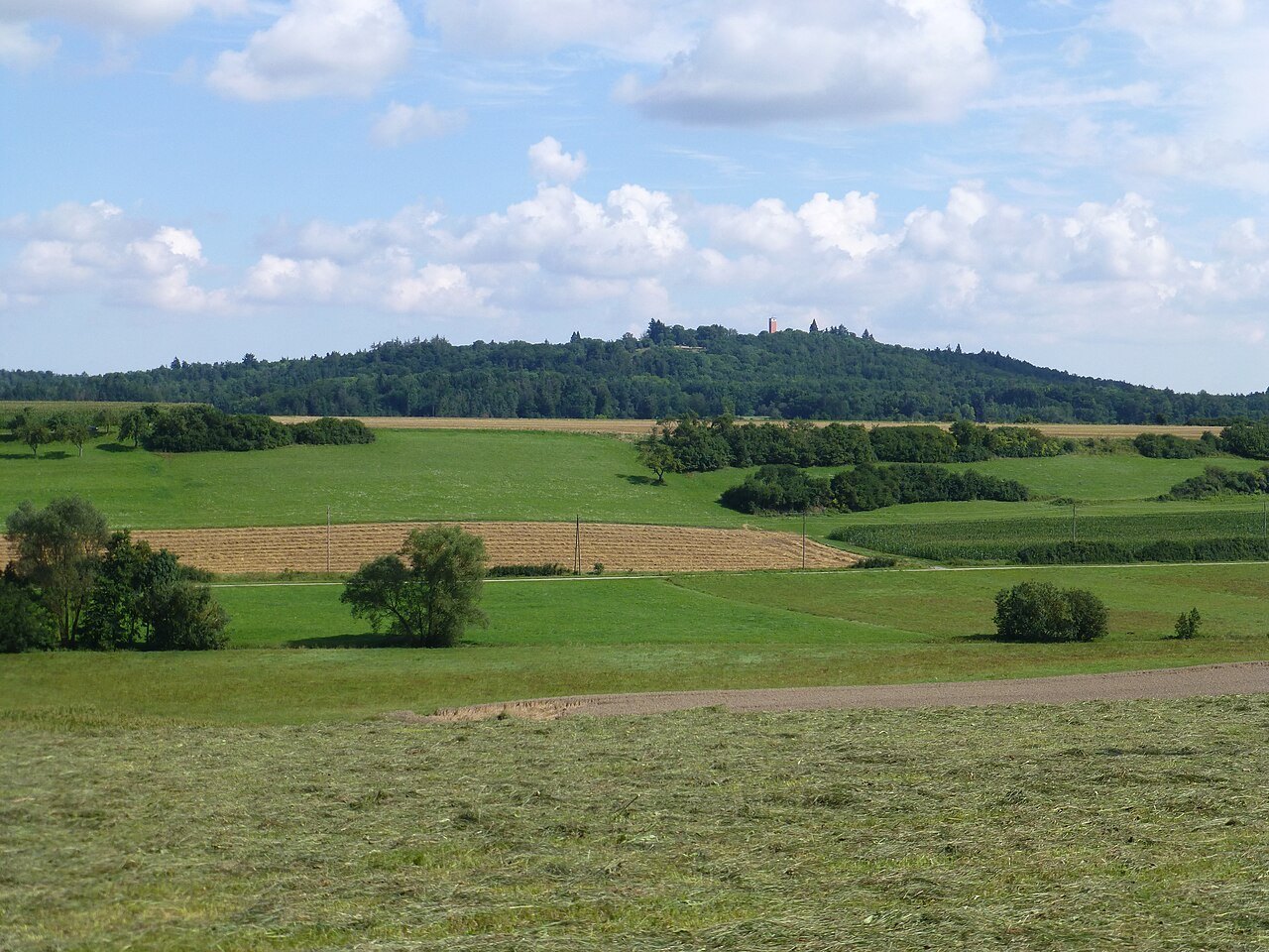 Burgberg mit Aussichtsturm bei Oberspeltach in Frankenhardt