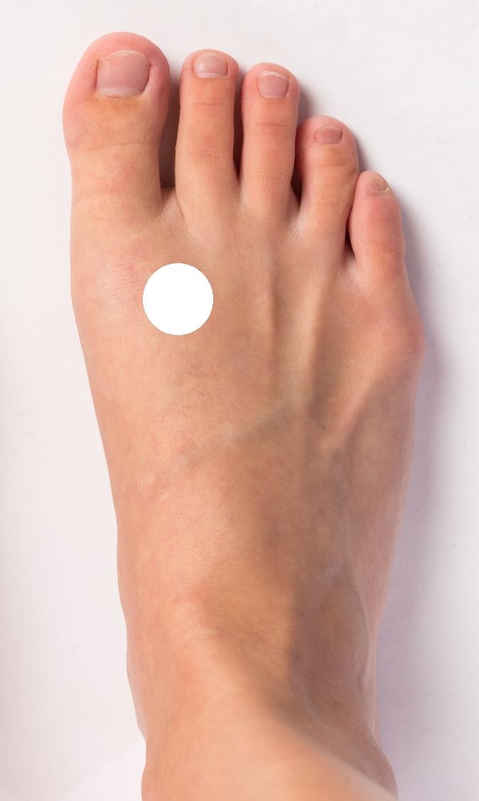 Leber 3 (Taichong) Akupressurpunkt Position