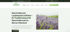 Webdesign Interlaken Naturheilkunde