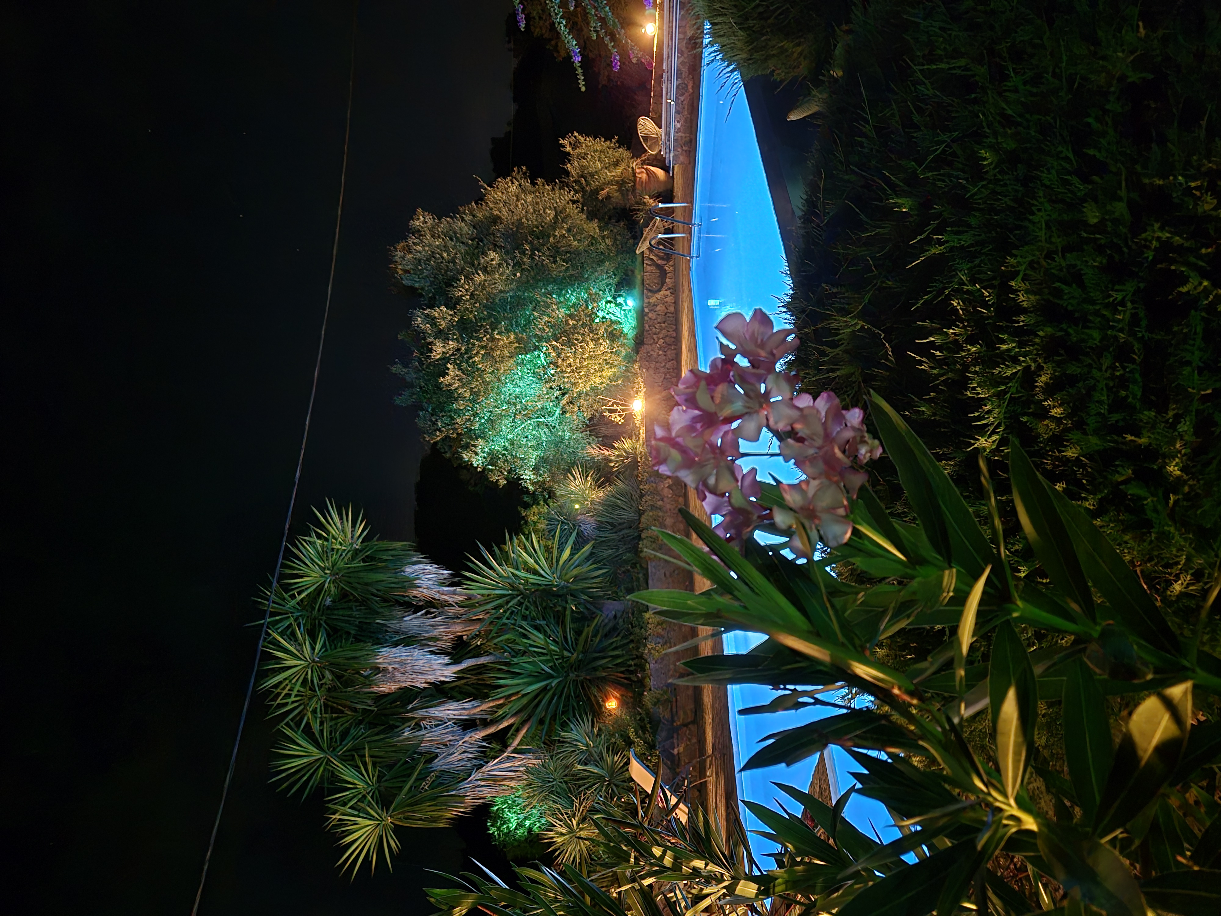 Mediterraner Garten