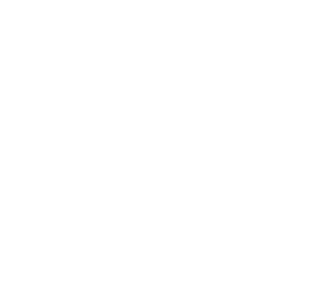Weißes Logo von Leo Nova Marketing & Consulting mit einem stilisierten Löwenkopf inklusive Krone auf schwarzem Grund.