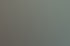 Nahaufnahme eines hellbraunen Alpakas im Profil vor grünem Hintergrund.