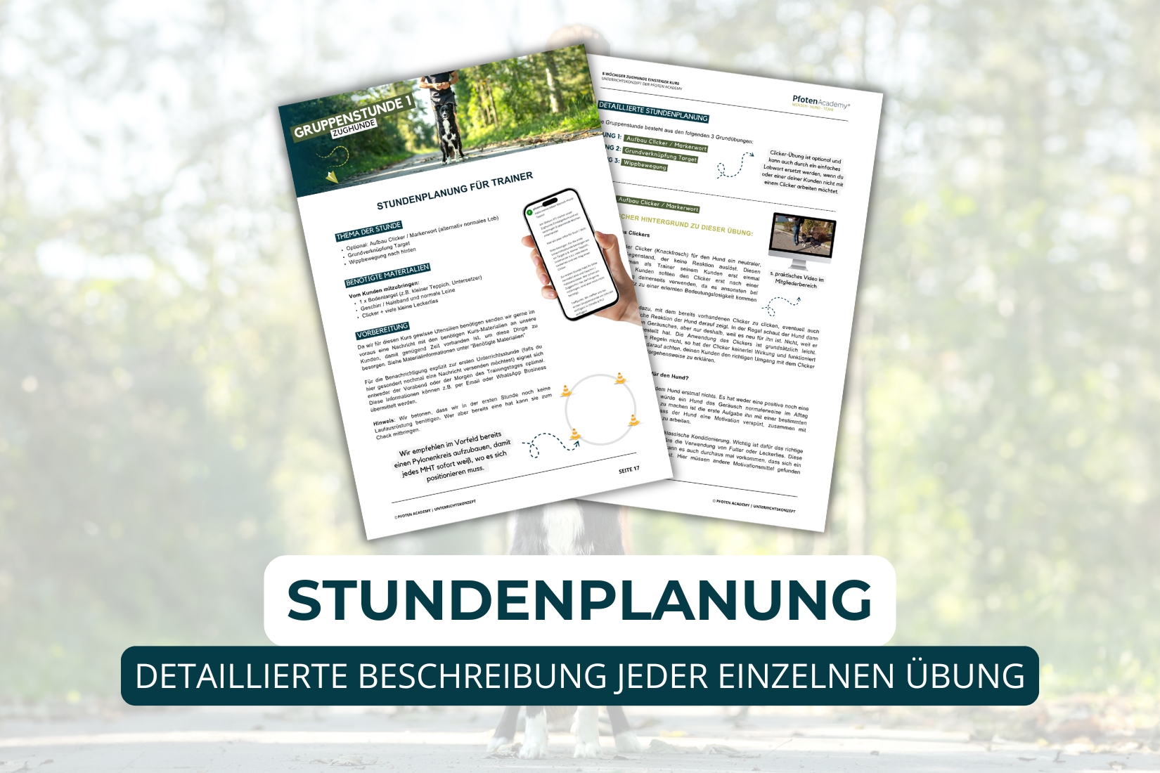 8-wöchiger Zughunde Einsteiger Kurs – Bild 6
