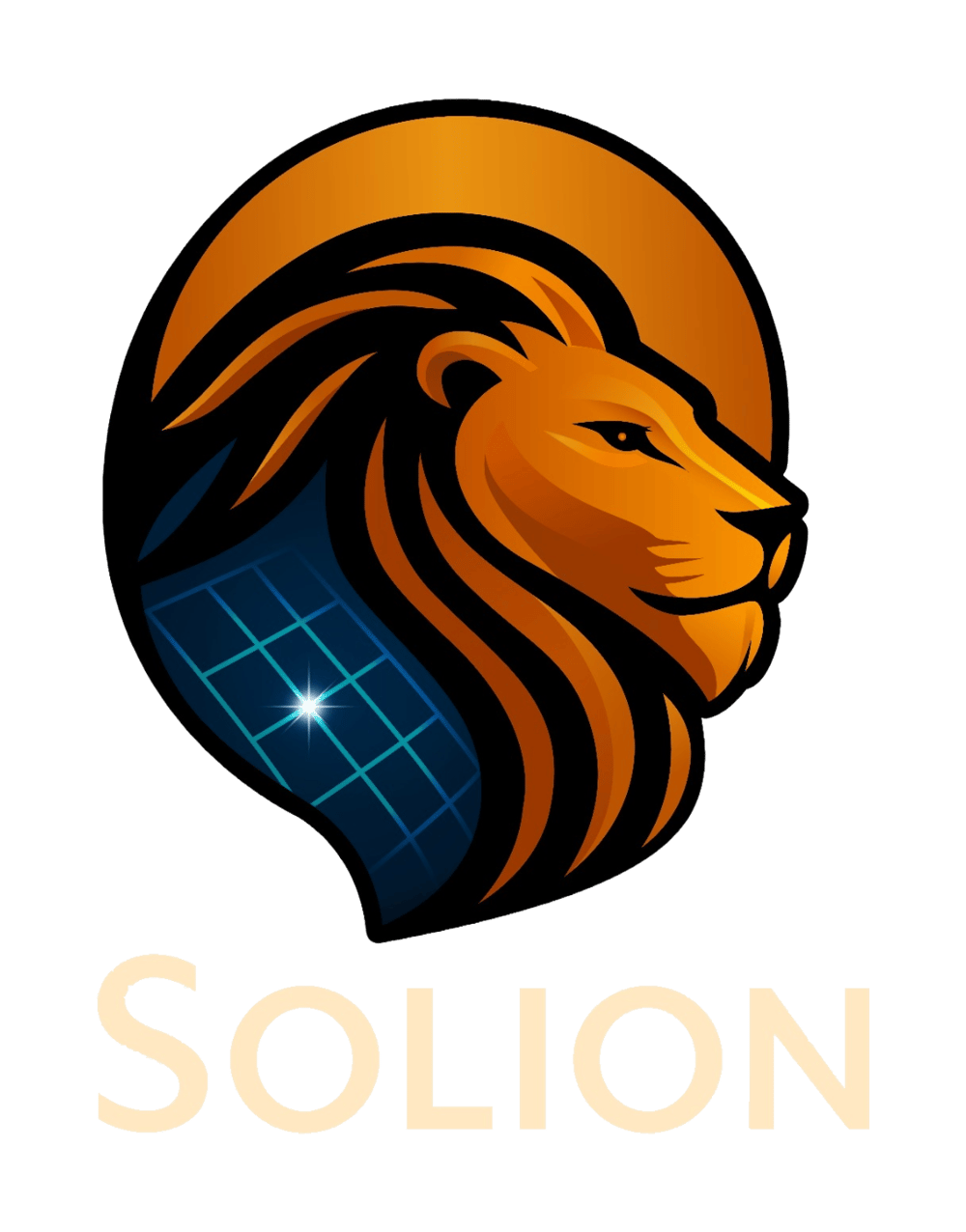 Solion