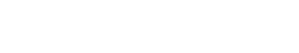 Logo: Das Wort "CONESSO" in Großbuchstaben, wobei das erste "C" stilisiert ist.