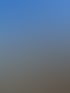 Handwerker auf einem Baugerüst bei Arbeiten an einer modernen Dachterrasse mit Pflanzen und Trittleiter bei blauem Himmel.