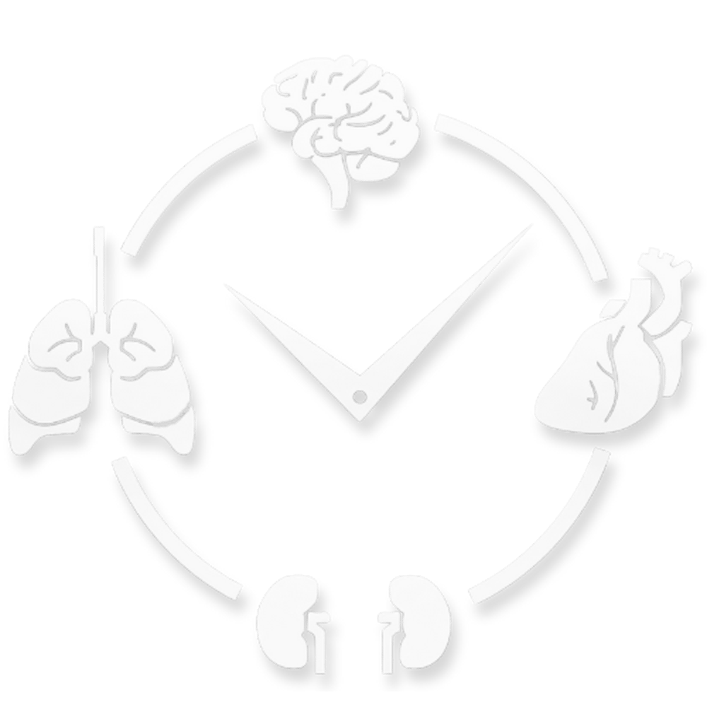 Uhr mit Gehirn, Lunge, Herz und Nieren als Organe, die den Ziffernblock umgeben.