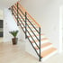 Zweiholmtreppe mit Metallgeländer