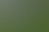 Ein Pool geplant und gebaut von DEL-Garten