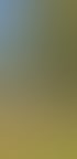 Ein gepflegter Garten mit zwei kugelförmig beschnittenen Bäumen, einer Steinbegrenzung und einer Solarleuchte.