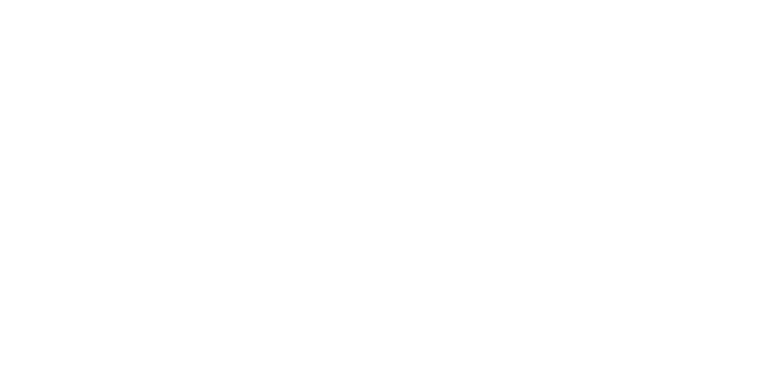 BSG Aufbau