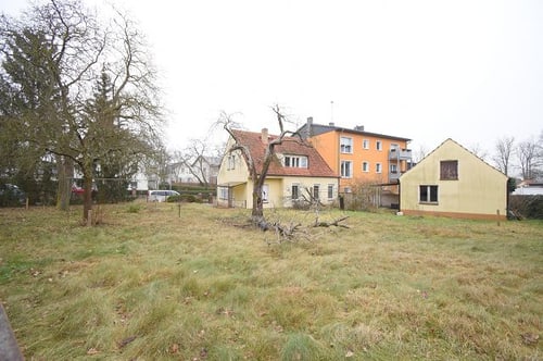 Verwilderter Garten mit gelben Häusern und einem orangefarbenen Apartmentgebäude im Hintergrund.