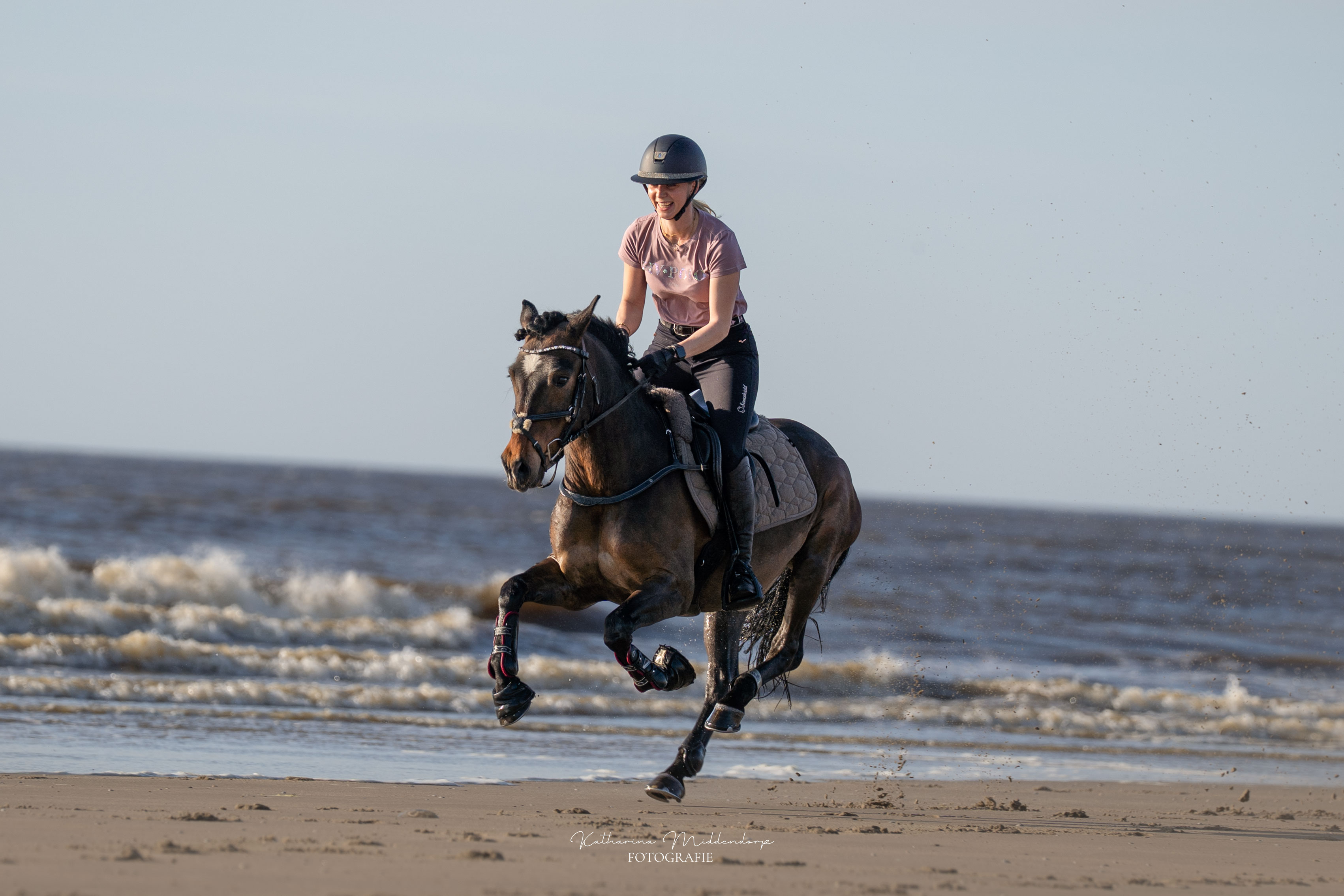 Pferdefotografie von Katharina Middendorp