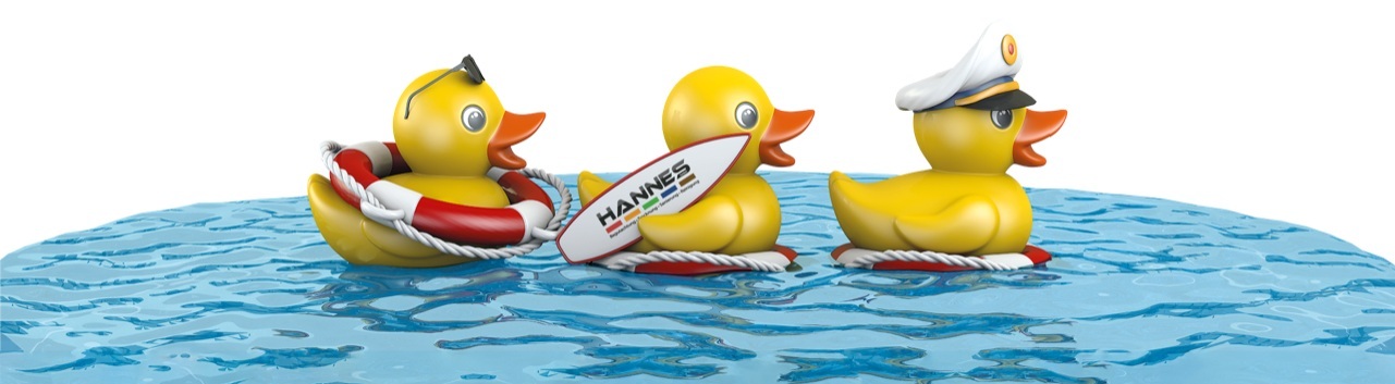 3 Enten.jpg
