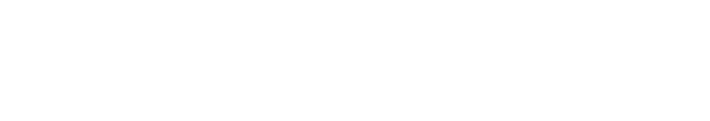 Logo Timo Ritzinger Performance Marketing