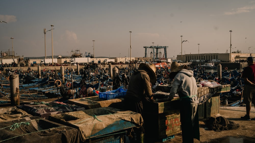 Fischmarkt am Hafen von Essaouira