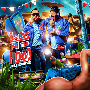 Wildbwoys — „Bwoys N The Hood“ Cover