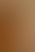 Nahaufnahme eines braunen Alpakas im Profil mit flauschigem Fell.