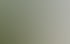 Mitarbeiter beim Heckenschnitt auf einem Gewerbegelände