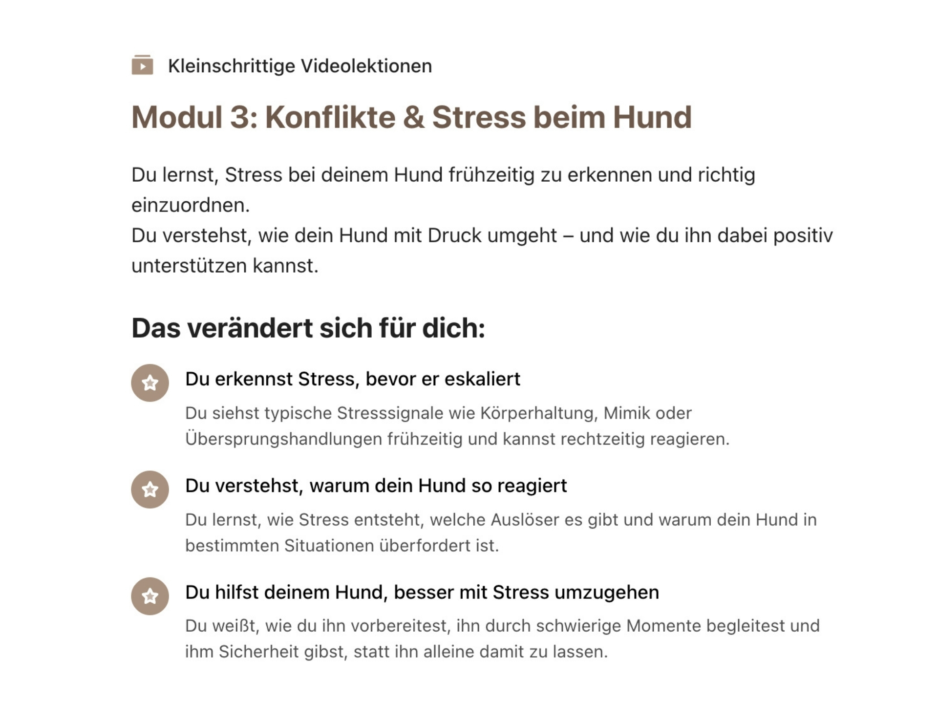 Was will dein Hund dir sagen? – Bild 8