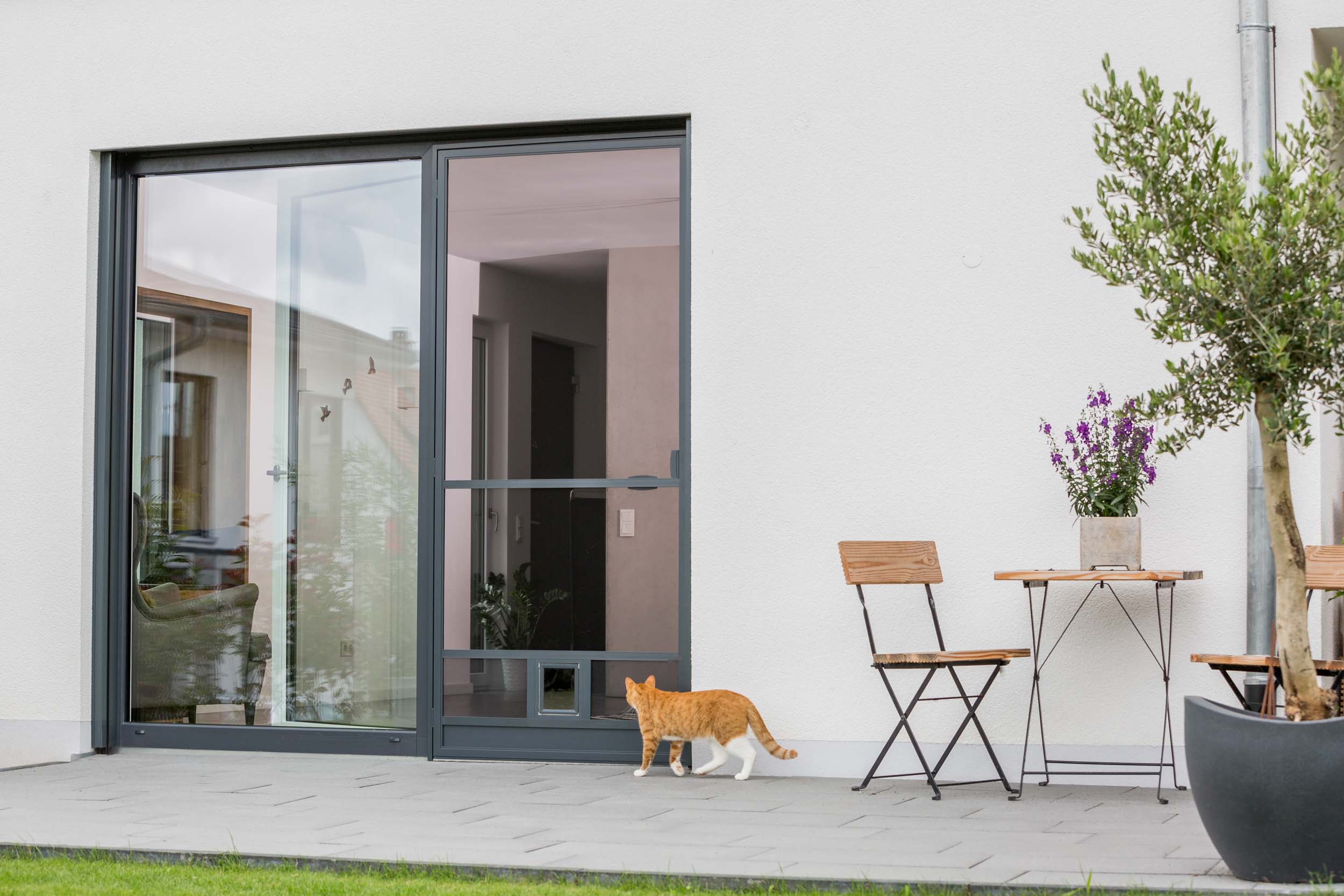 Terrassentür mit Insektenschutz-Schiebeanlage, davor eine Katze auf der Terrasse