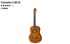 https://www.thomann.de/de/yamaha_c40_konzertgitarre.htm