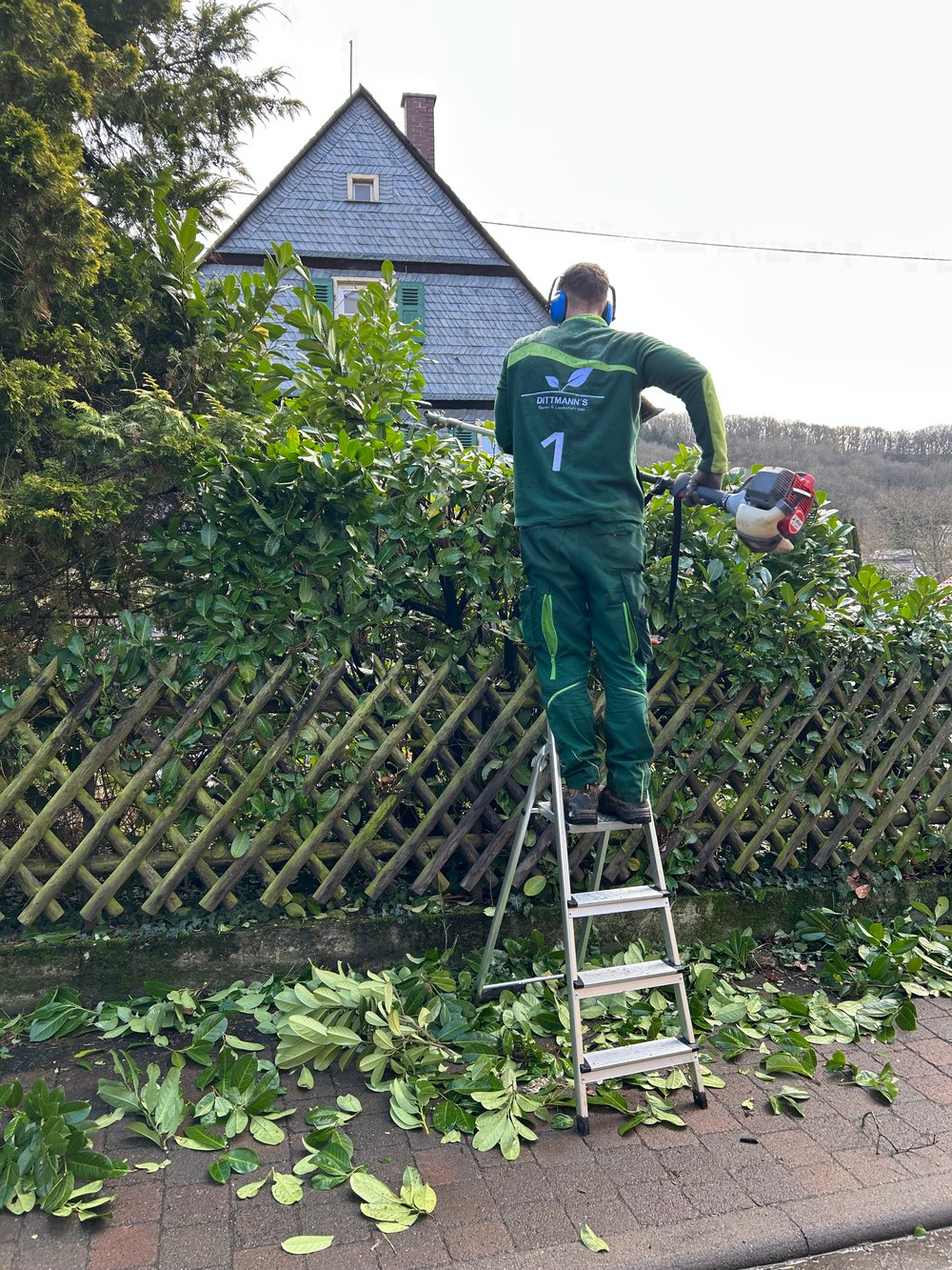 Gepflegter Garten an Ferienwohnungen